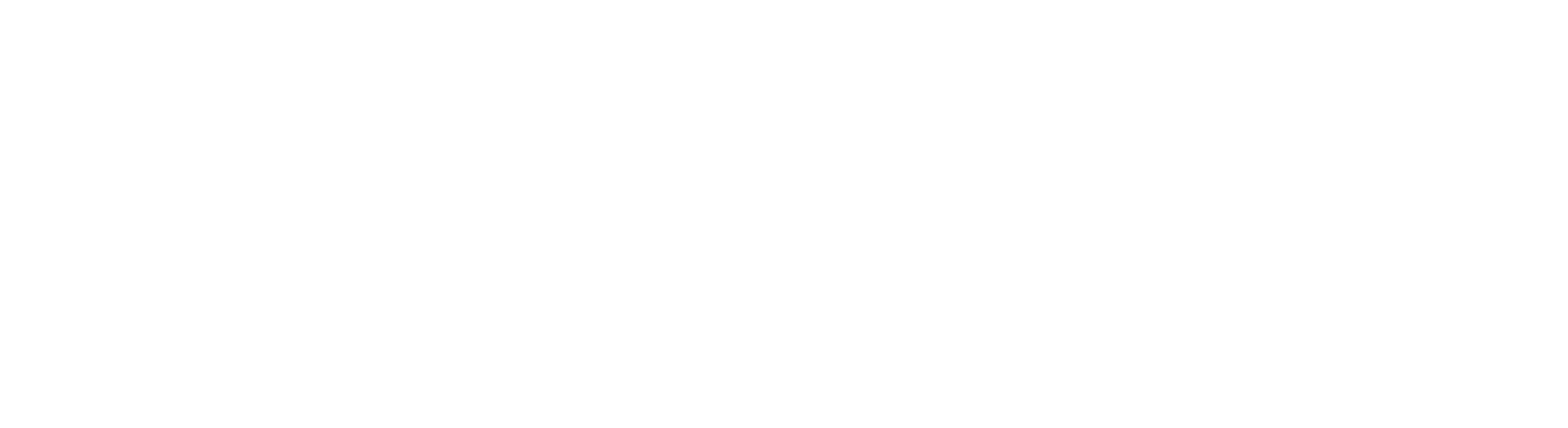 OPW FTS Logo White PNG
